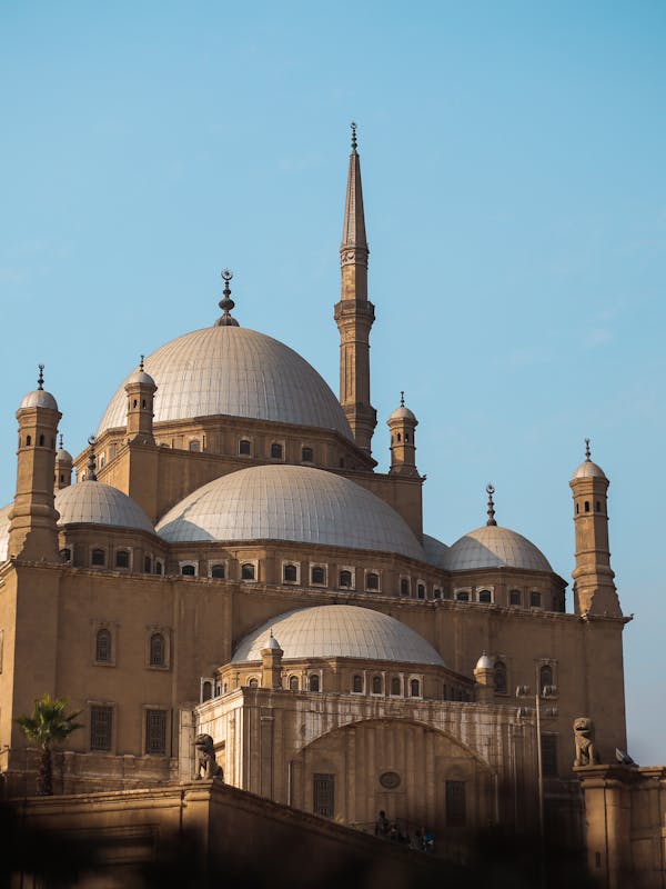 Core Tailored Trouser